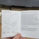 세이브존 스포츠센타 | 수영용 "Sanag 세나 B60 Pro Max 64GB 골전도 이어폰" 가격/사용법/사용 후기