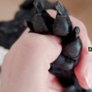 누렁이도 찰스로 애견샵 이미지