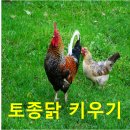 이가농원