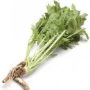 백와사비(고추냉이), 삼백초뿌리 이미지