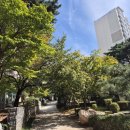 포스코코너공인중개사사무소 이미지