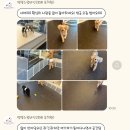 멍텔스컴바인 이미지