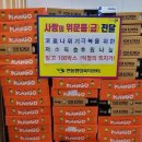 과일천사