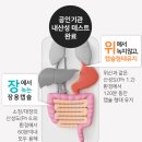파파메디 | [건강] 메디타인 유산균 대장건강 비피더스 프로바이오틱스 후기｜복부 통증 탈출｜내돈내산