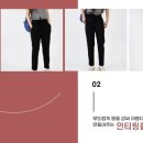 아놀드바시니 이미지