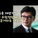한동훈, 민주당 위헌정당해산 결정적 자료 대공개 이미지
