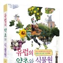 평화약초