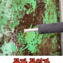 경기판교수지얼음