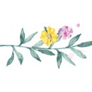 세진커텐이불 이미지