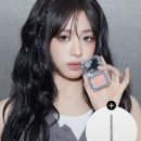 바닐라코 | 바닐라코 치크 블러셔 쉬어블러팟 내돈내산 후기