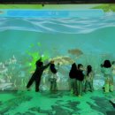 농촌테마공원3 이미지