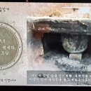 장속농장 이미지