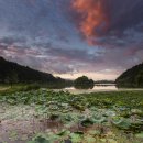 와우호수공원 이미지