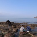 황금언덕 이미지