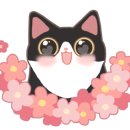 판타펫코리아 이미지