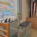 수미가통돼지 이미지