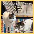 잼툰