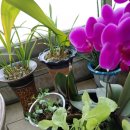 스마트폰 활용(초급) 이미지