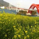 수행정사 이미지