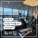 골프에비뉴 | 비산동 에비뉴 여성전문PT 쿼카짐 솔직 후기