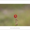 활천공원 이미지