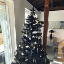 서호초등학교 | [도트베이글팩토리] 제주 서귀포핫플 카페 방문 후기🥯