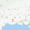 서귀포해장국의전설 이미지
