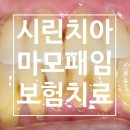 광장치과재료 이미지