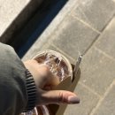 파리바게트 청주강내점 이미지