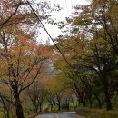 산골펜션