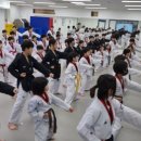 더빛광교태권도장 이미지