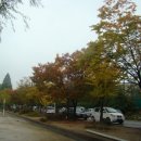 전곡고등학교 이미지