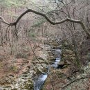 구룡목장2 이미지