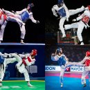 올림픽 태권도 이미지