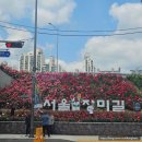 왕자자동차공업사 | 2024년 중랑천 장미축제 사진스팟 주말오전 방문후기 주차팁