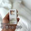 모닝 | 면세점 향수 추천 | 메종 마르지엘라 레이지 선데이 모닝 후기 (여행 갈 때 챙기기 좋은 향)