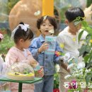 함평나비 - 1358 | 함평나비