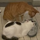 9월 브런치 콘서트 아이작 첼로 콰르텟 콘서트 | 9월에 쓰는 8월의 기록 (2023)