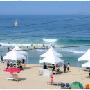 송지호 바다민박 이미지