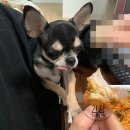 단대동 주민센터 이미지