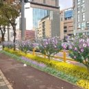 노형초등학교 헤드라인제주