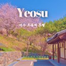 한옥호텔 오동재 | 여수 오동재 호텔 스위트룸 후기 한옥 오션뷰 숙소 추천