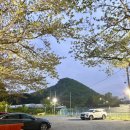 므로 | 부산 기장 애견운동장 애견카페 장안숲므로 후기