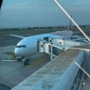 406 | 🇮🇹로마 → 인천 티웨이 직항 TW406 탑승 후기