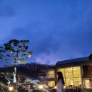 르카페(Le cafe) | 르 카페 LE CAFE 재방문 후기, 자고 있는 오리까지 인상적