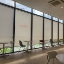 롯데아울렛 광명지점(카페 미밍코) | 광명역 애견카페 롯데아울렛 미밍코 추천