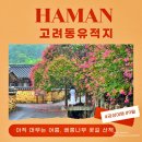 고려동유적지 | 함안 고려동유적지 Ⅰ 한옥과 배롱나무꽃이 어우러진 고즈넉한 아침 산책