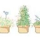 (주)핸드스튜디오 이미지