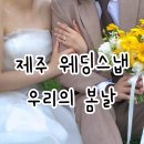 대신보건진료소 | 우리의 봄날 제주웨딩스냅 문작가님 내돈내산 세세한 찐후기