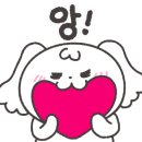 대구쌀상회 이미지